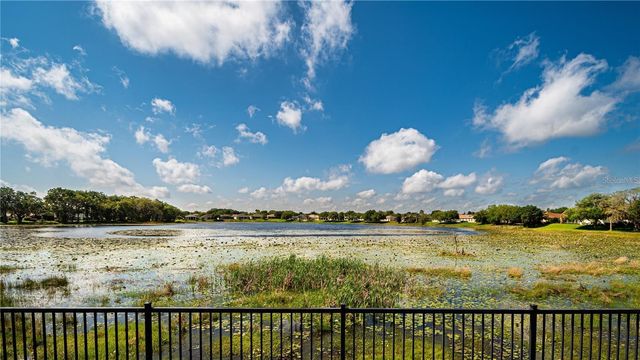 3447 MOUNT HOPE LOOP, Leesburg, FL 34748
