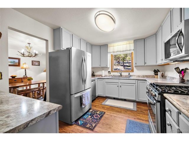 4091 Singletree Rd, Hartsel, CO 80449