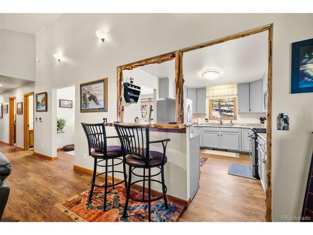 4091 Singletree Rd, Hartsel, CO 80449