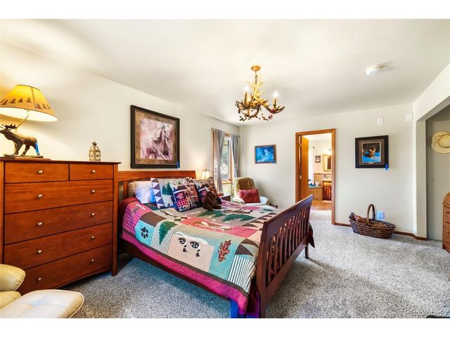4091 Singletree Rd, Hartsel, CO 80449