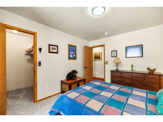 4091 Singletree Rd, Hartsel, CO 80449