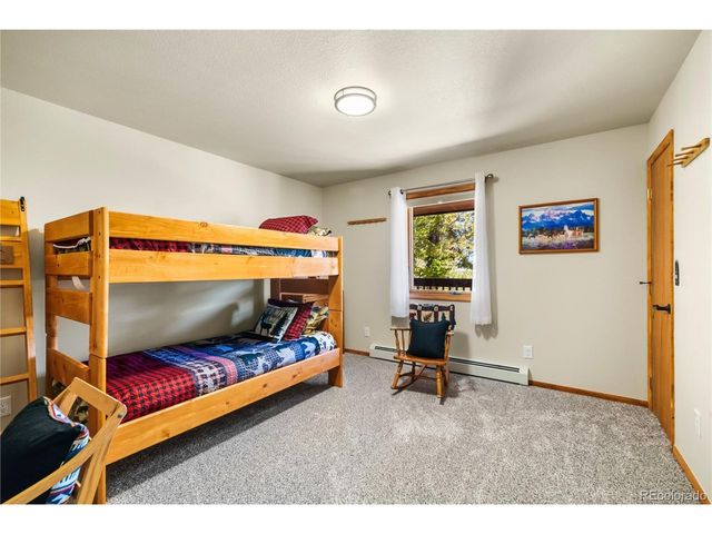 4091 Singletree Rd, Hartsel, CO 80449