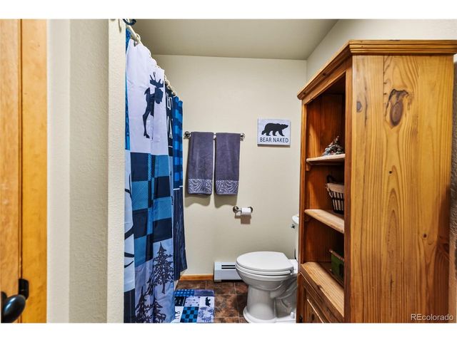 4091 Singletree Rd, Hartsel, CO 80449