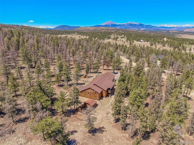 4091 Singletree Rd, Hartsel, CO 80449