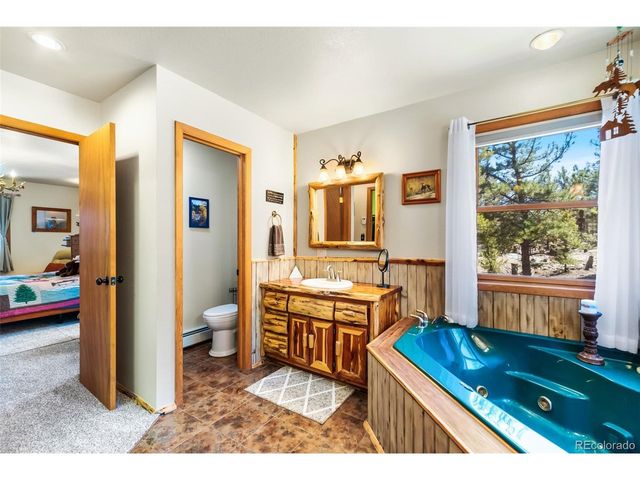 4091 Singletree Rd, Hartsel, CO 80449
