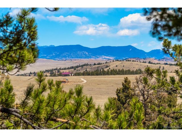 4091 Singletree Rd, Hartsel, CO 80449