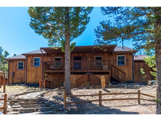 4091 Singletree Rd, Hartsel, CO 80449