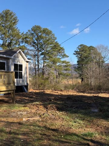 111 Long Drive, Chatsworth, GA 30705