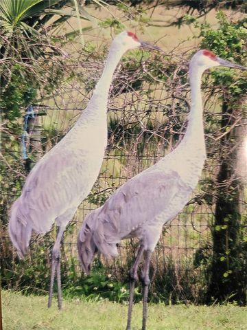 7662 SW LIVERPOOL ROAD, Arcadia, FL 34269