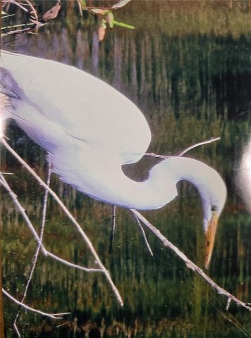 7662 SW LIVERPOOL ROAD, Arcadia, FL 34269