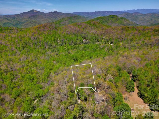 99999 Laurel Drive, Black Mountain, NC 28711