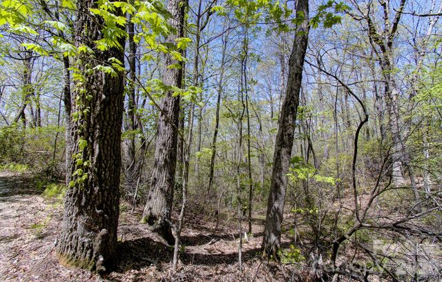 99999 Laurel Drive, Black Mountain, NC 28711