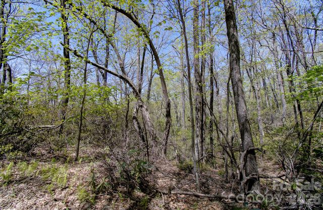 99999 Laurel Drive, Black Mountain, NC 28711