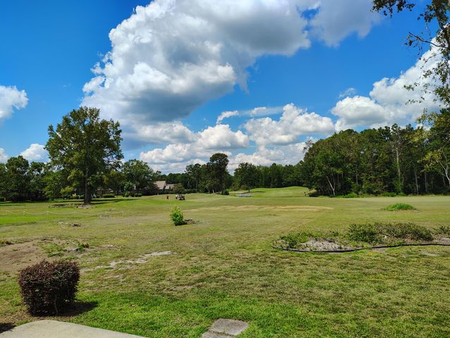 29 Lake Arbu Drive, Manning, SC 29102