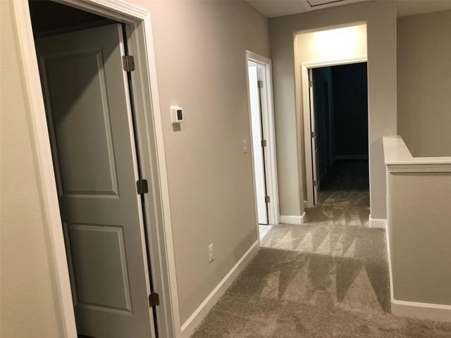 10056 CORSO MILANO DRIVE, Tampa, FL 33625