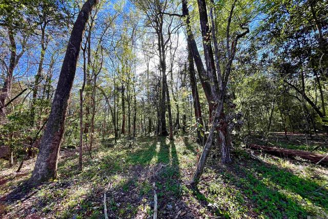 25 Lillian Ln, Ethel, LA 70730