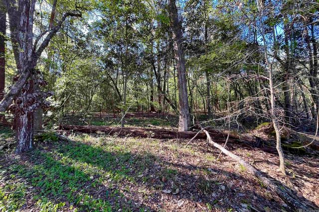 25 Lillian Ln, Ethel, LA 70730