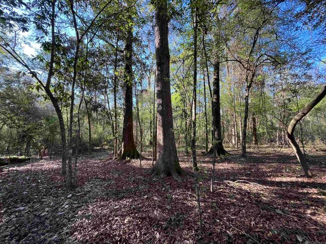 25 Lillian Ln, Ethel, LA 70730