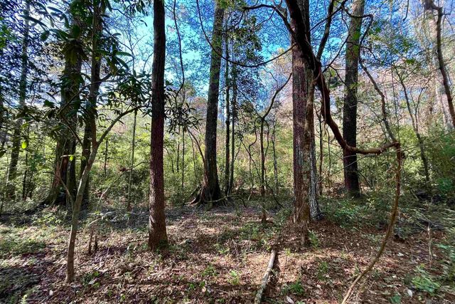 25 Lillian Ln, Ethel, LA 70730