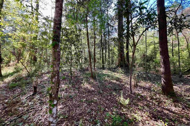 25 Lillian Ln, Ethel, LA 70730