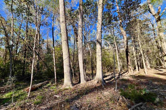 25 Lillian Ln, Ethel, LA 70730