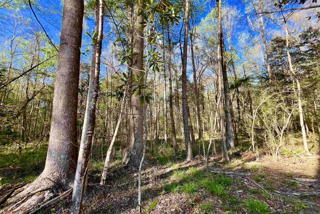 25 Lillian Ln, Ethel, LA 70730