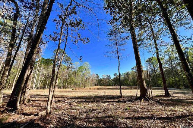 25 Lillian Ln, Ethel, LA 70730