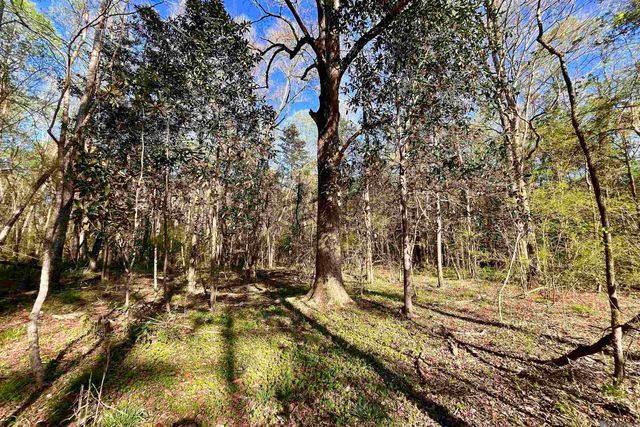 25 Lillian Ln, Ethel, LA 70730