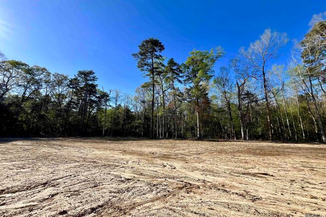 25 Lillian Ln, Ethel, LA 70730