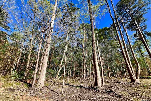 25 Lillian Ln, Ethel, LA 70730