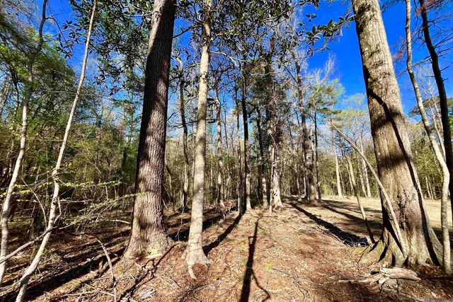 25 Lillian Ln, Ethel, LA 70730