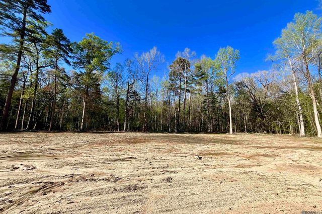 25 Lillian Ln, Ethel, LA 70730