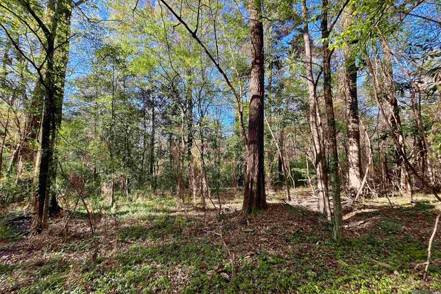 25 Lillian Ln, Ethel, LA 70730