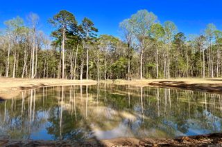 25 Lillian Ln, Ethel, LA 70730