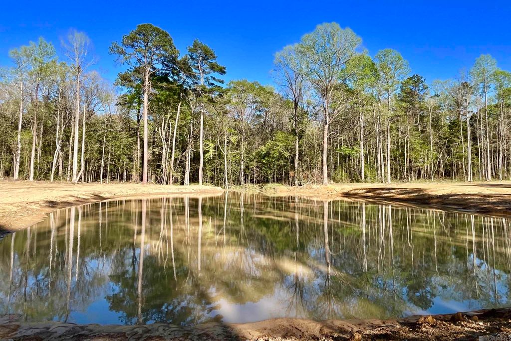 25 Lillian Ln, Ethel, LA 70730