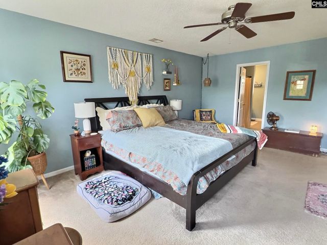 380 Eagle Pointe Drive, Chapin, SC 29036