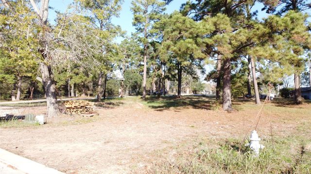 14163 Teel Road, Montgomery, TX 77356