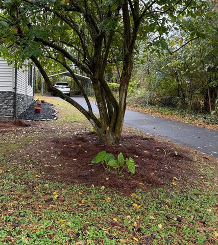 3174 Tonia Drive SW, Cleveland, TN 37311