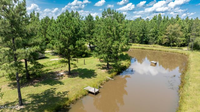 112 Wolf Branch Road, Perkinston, MS 39573