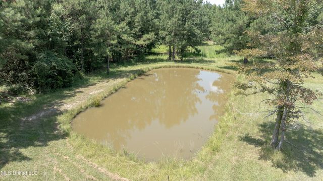 112 Wolf Branch Road, Perkinston, MS 39573