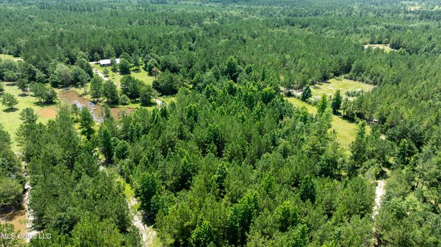 112 Wolf Branch Road, Perkinston, MS 39573