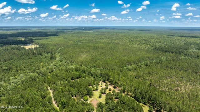 112 Wolf Branch Road, Perkinston, MS 39573