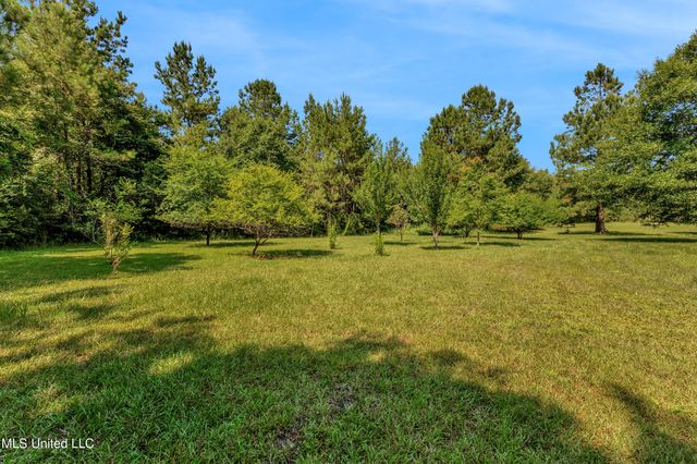 112 Wolf Branch Road, Perkinston, MS 39573