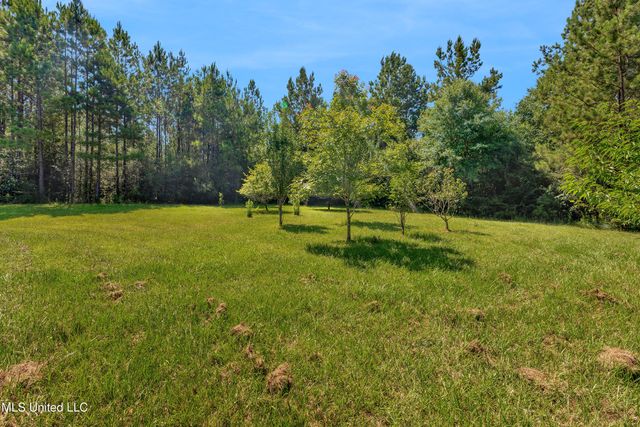 112 Wolf Branch Road, Perkinston, MS 39573