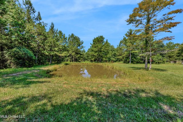 112 Wolf Branch Road, Perkinston, MS 39573