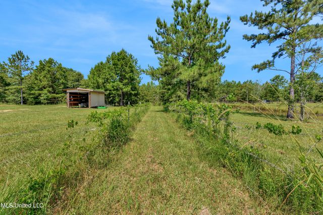112 Wolf Branch Road, Perkinston, MS 39573