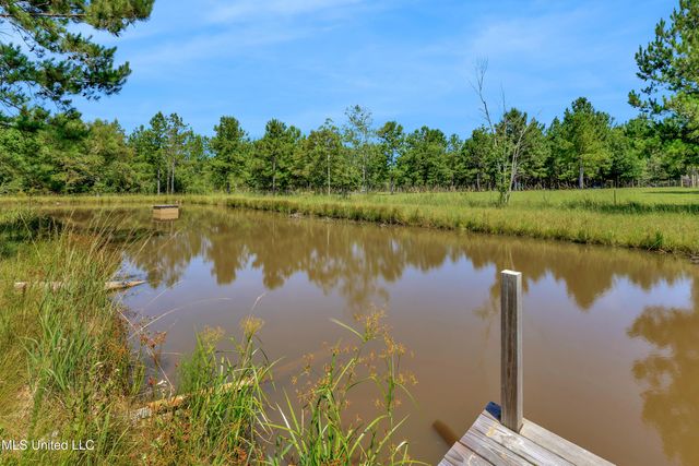 112 Wolf Branch Road, Perkinston, MS 39573