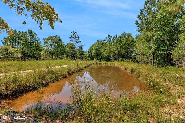 112 Wolf Branch Road, Perkinston, MS 39573