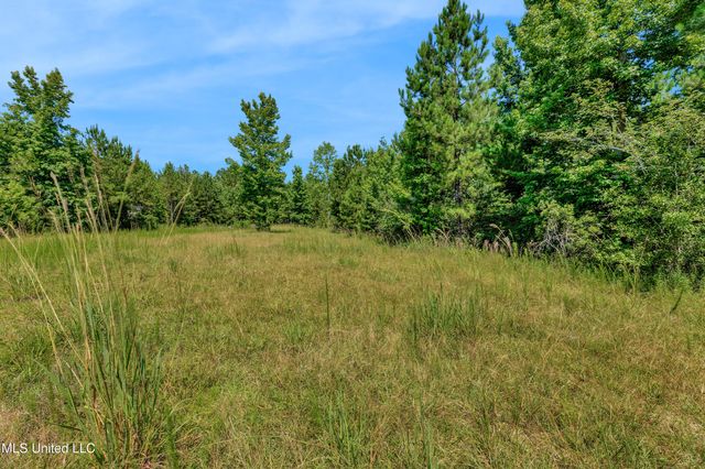 112 Wolf Branch Road, Perkinston, MS 39573