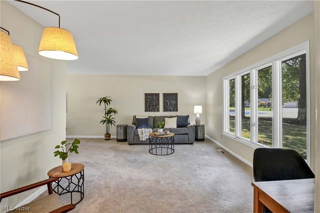 10773 Pebble Brook Lane, Strongsville, OH 44149